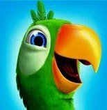 Игра Говорящий Пьер Берди